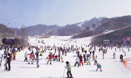 Kinh nghiệm trượt tuyết khi du lịch Hàn Quốc vào mùa đông