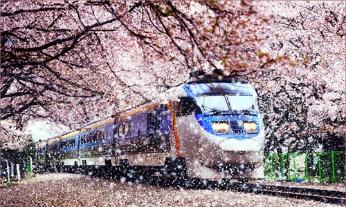 kinh nghiệm du lịch Nhật Bản mùa thu