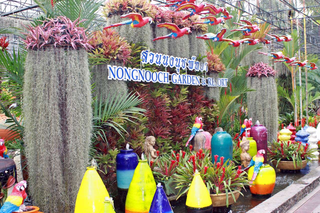 Vườn hoa lan Nong Nooch